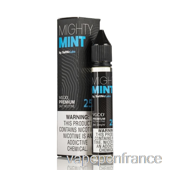 Menthe Puissante - Vgod Saltnic - Stylo Vape 30 Ml 25 Mg